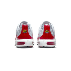 Air Max TN Plus 'Air Max 1'