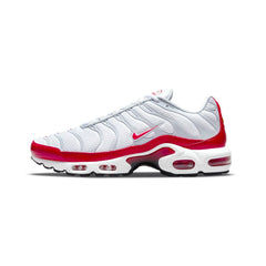 Air Max TN Plus 'Air Max 1'