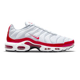 Air Max TN Plus 'Air Max 1'