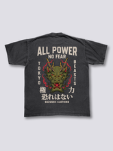 Fearless Dragon Vintage T-Shirt
